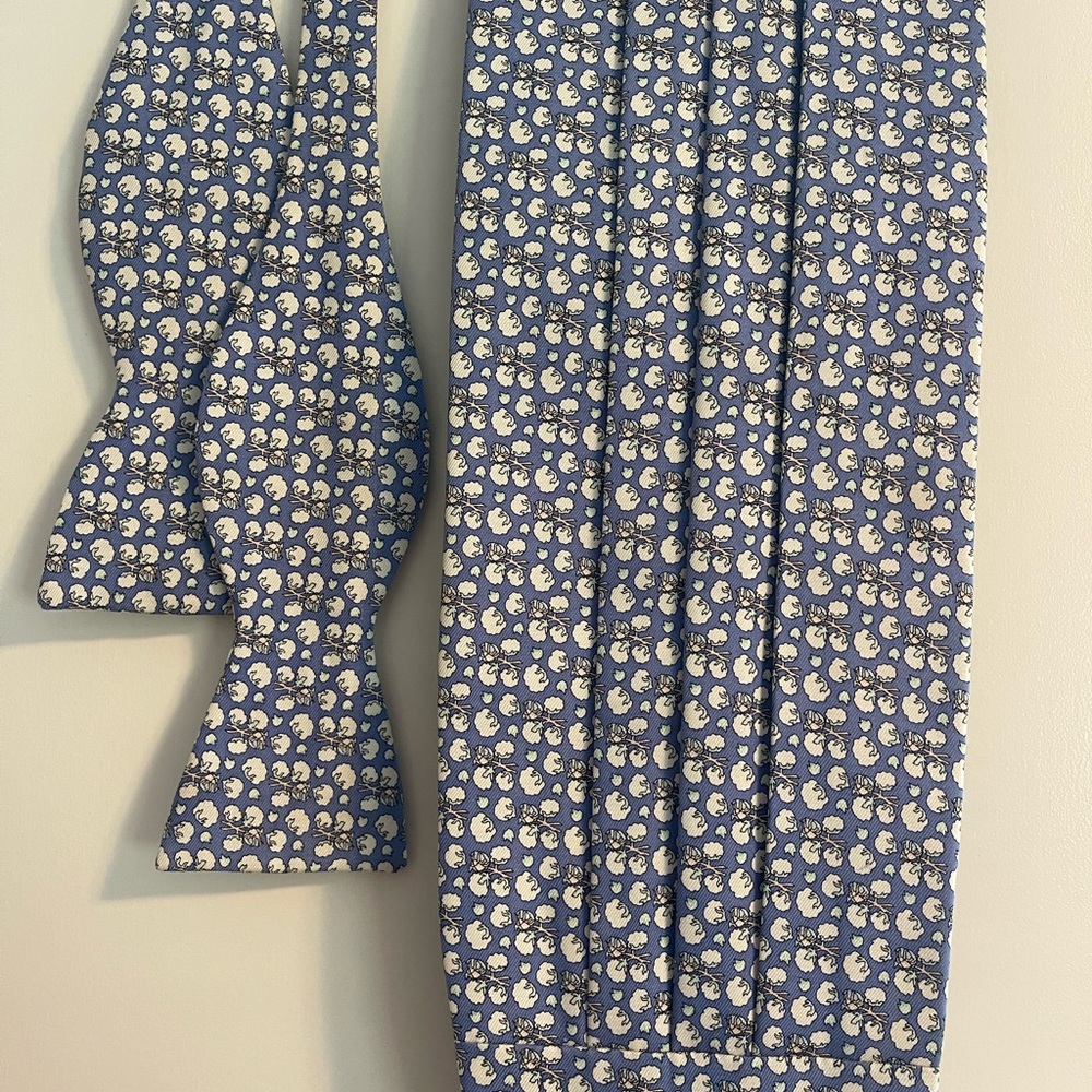 Vineyard Vines Bow Tie and Cummerbund Set
